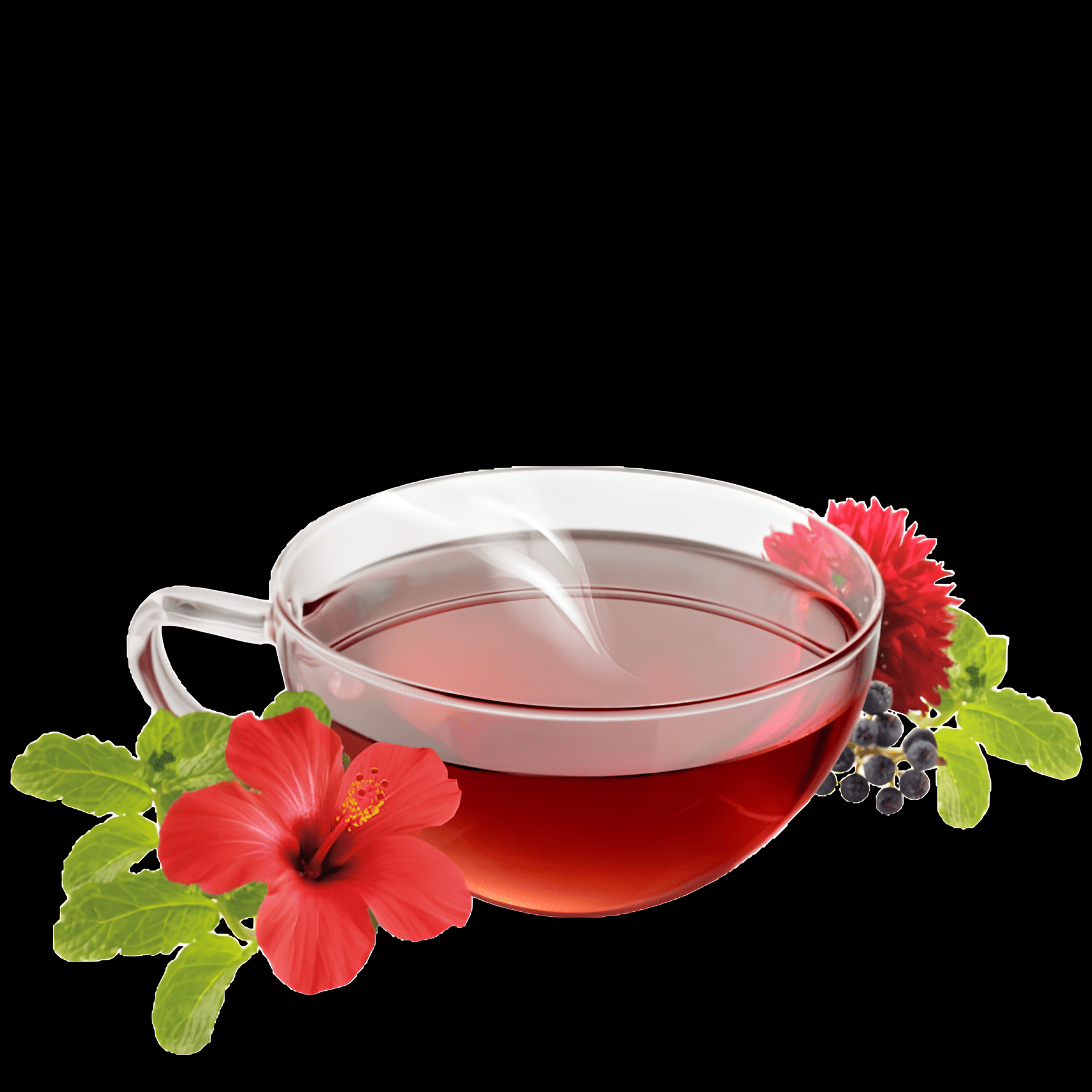alpenkrauetertee-bio_swissalpineherbs_alpensommer_teetasse