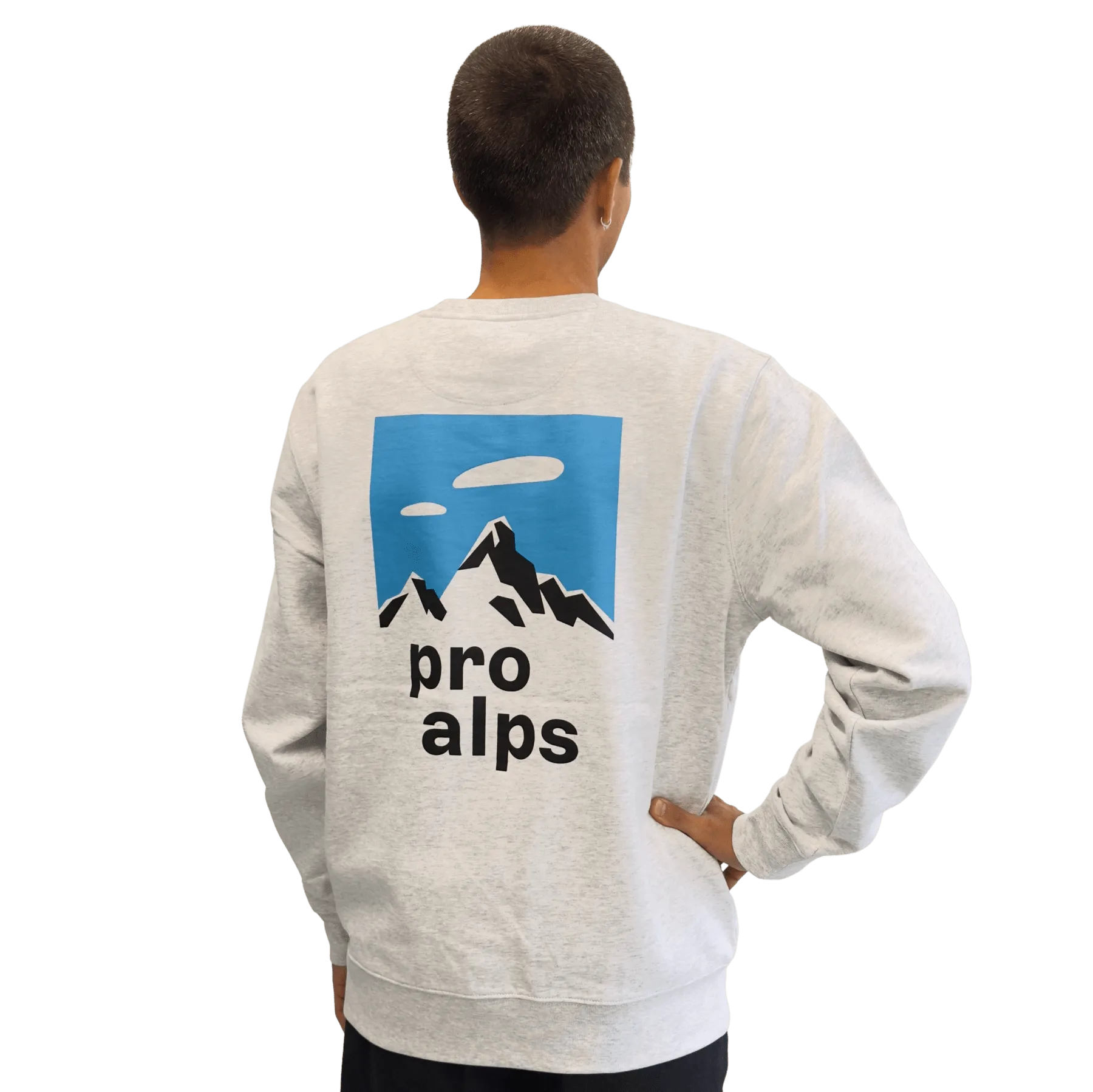 sweatshirt-pulli-proalps-hinten-mann-schnappschuss