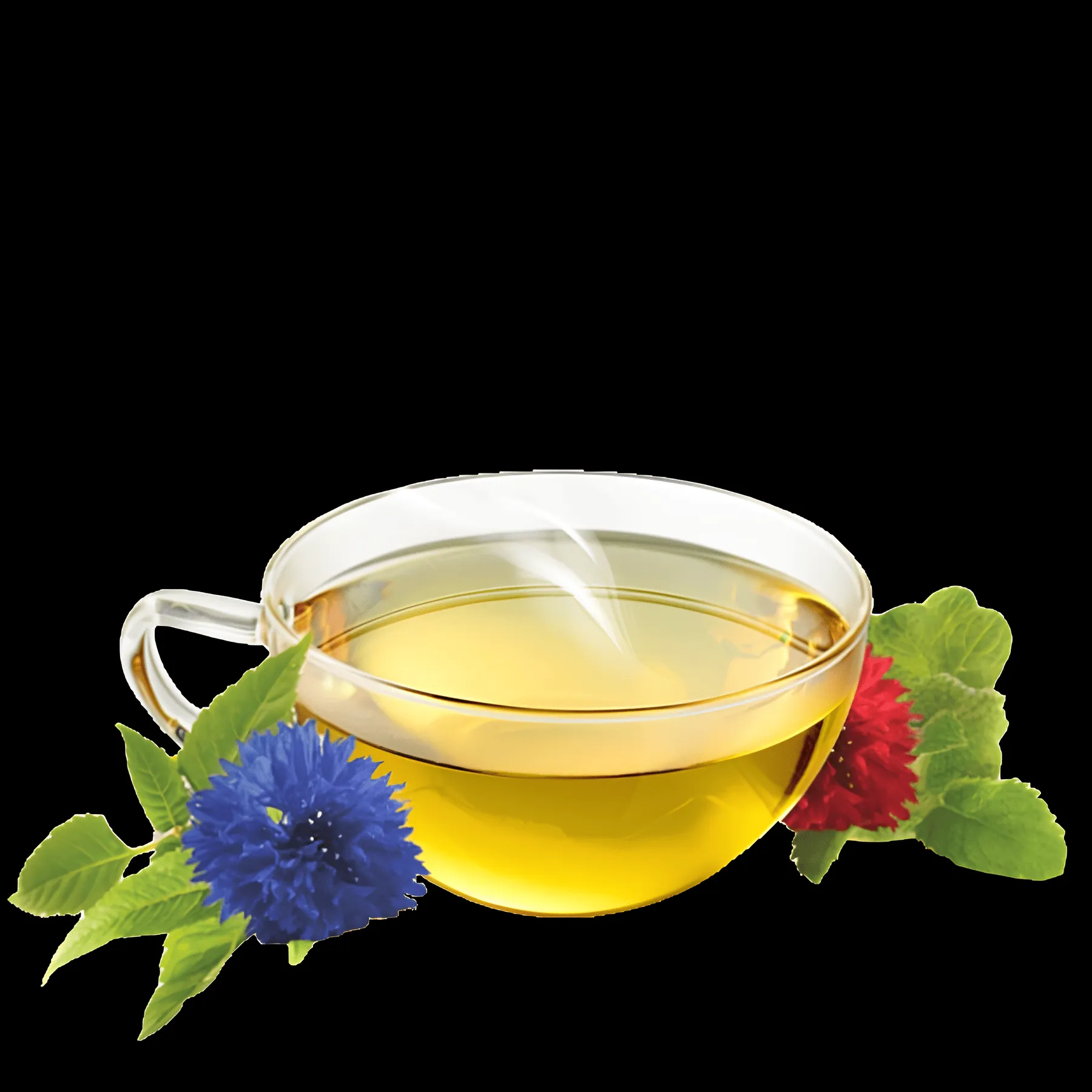 alpenkrauetertee-bio_swissalpineherbs_alpenglanz_teetasse