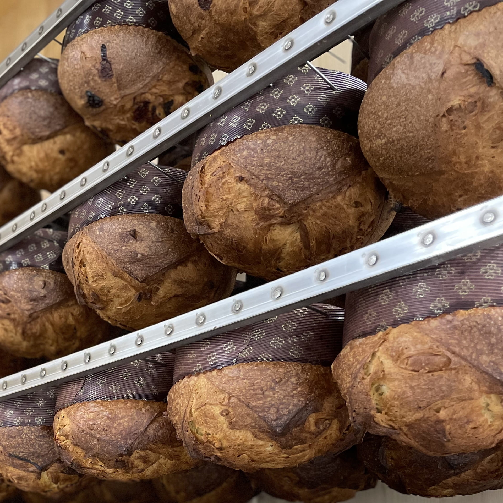 kastanienpanettone-gonzalez-bergell_herstellung_IMG_7761